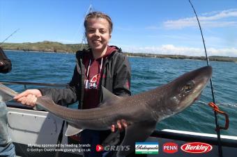 11 lb Starry Smooth-hound by Tara