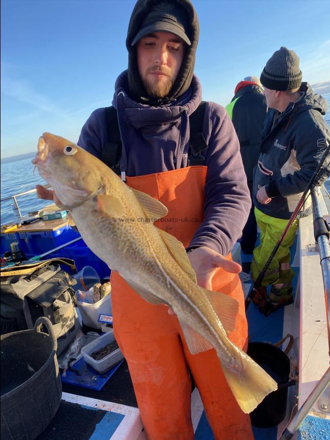 5 lb Cod by Fergus Powell.