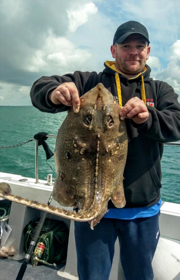 8 lb Thornback Ray by Unknown