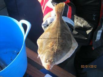 8 oz Plaice by Unknown