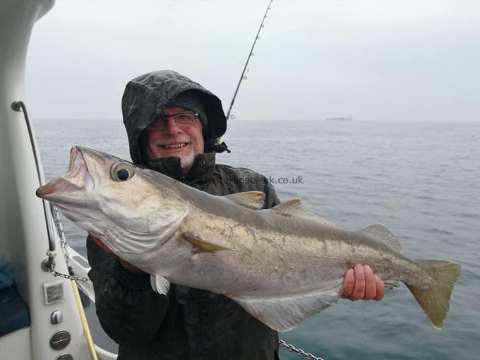 11 lb 8 oz Pollock by Martyn Hocking