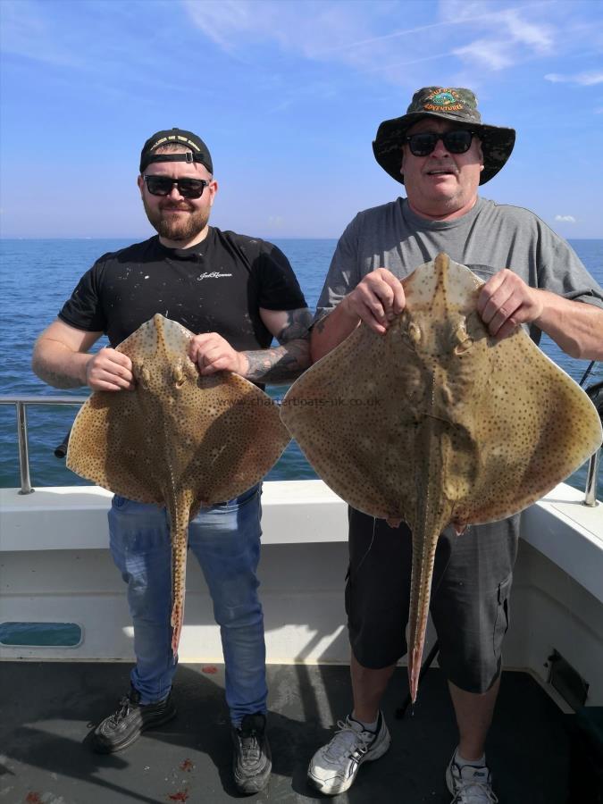 15 lb Blonde Ray by Unknown