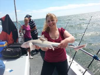 6 lb 5 oz Smooth-hound (Common) by Kerry from Canoeman Wroxham