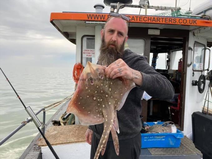 3 lb Thornback Ray by Unknown