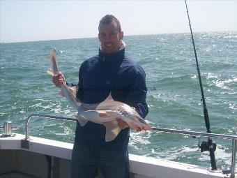 16 lb Starry Smooth-hound by Andy