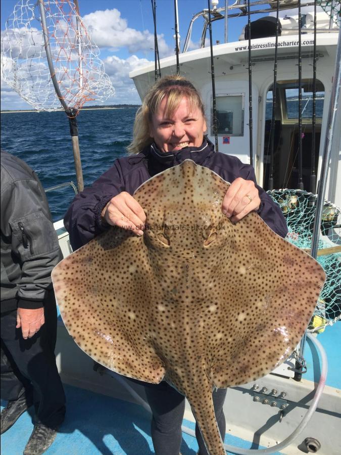 17 lb Blonde Ray by Kelly