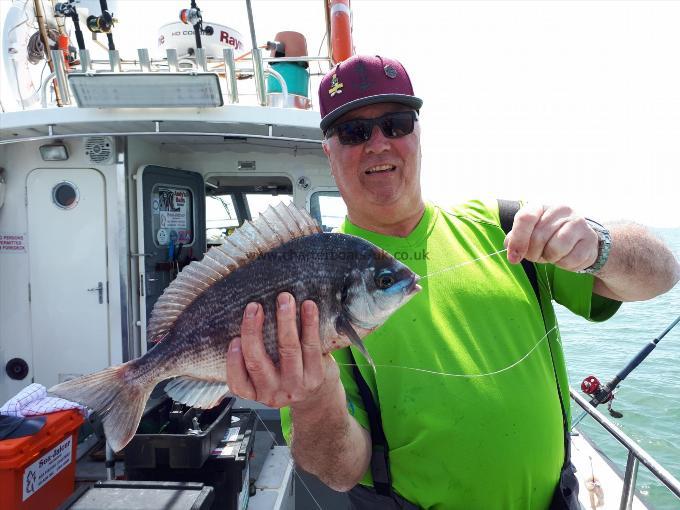 3 lb Black Sea Bream by Lee Rossie