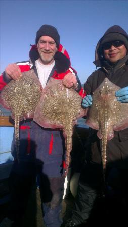 6 lb 7 oz Thornback Ray by deano from sittingborne,