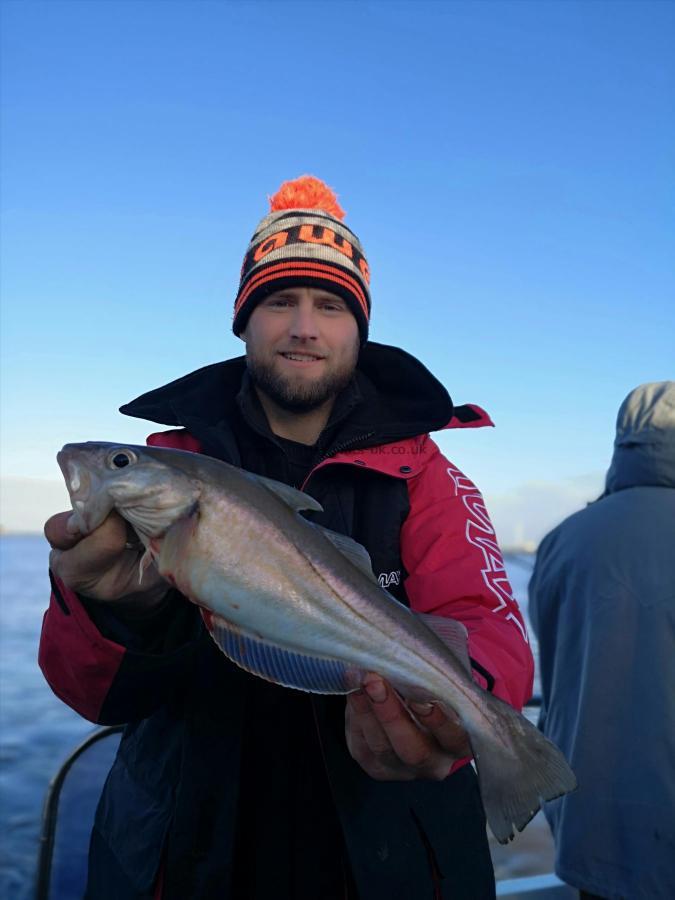 2 lb 4 oz Whiting by Unknown