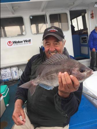 2 lb Black Sea Bream by Kevin McKie