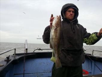 3 lb 8 oz Cod by Todd