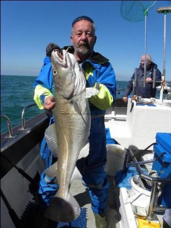 26 lb Cod by Unknown