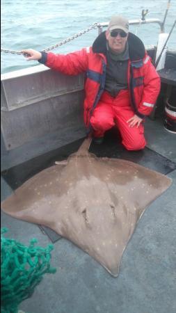 155 lb Common Skate by iain brabbs