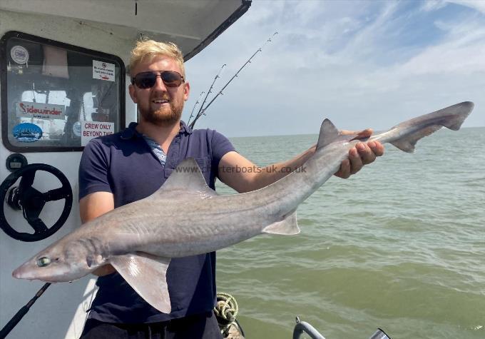 9 lb Smooth-hound by Unknown