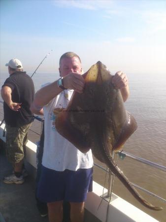 13 lb 6 oz Smooth-hound by gordon smith