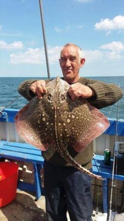 11 lb 2 oz Thornback Ray by Unknown