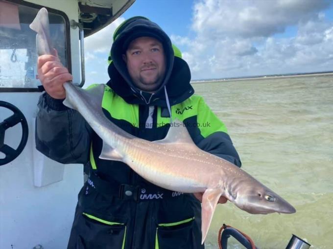 9 lb Smooth-hound by Unknown
