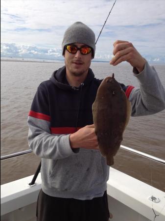 2 lb 14 oz Dover Sole by Unknown