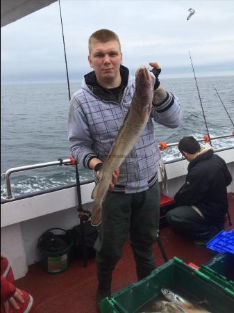 8 lb Ling by Unknown