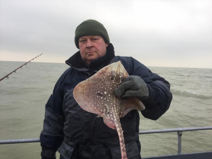 3 lb Thornback Ray by Unknown