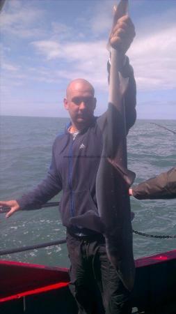 10 lb Spurdog by Unknown