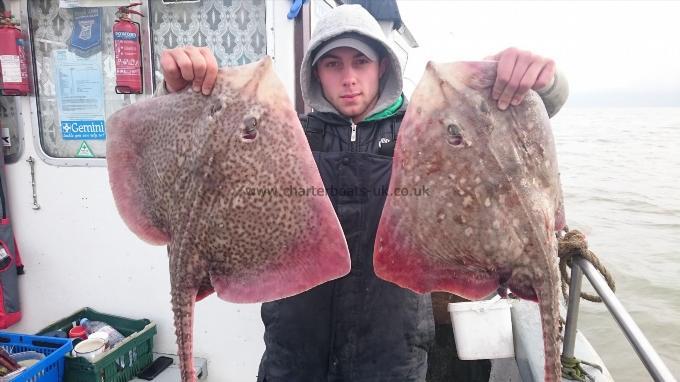 10 lb Thornback Ray by Unknown