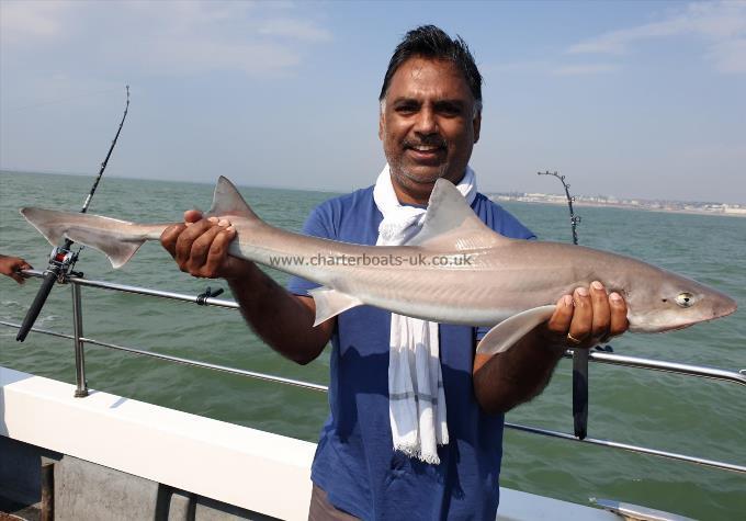 9 lb 8 oz Smooth-hound (Common) by Bob Marshall