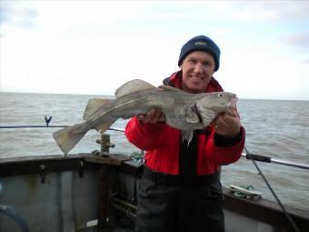 4 lb Cod by Me Julie`s Mob