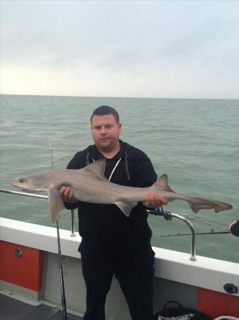 12 lb Smooth-hound by Unknown
