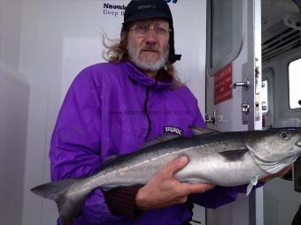 6 lb Coalfish (Coley/Saithe) by Unknown