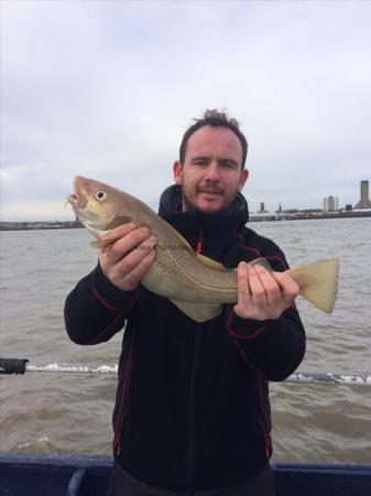 3 lb Cod by Unknown