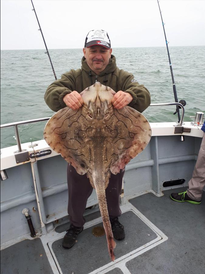 16 lb 4 oz Undulate Ray by Garry Rickards