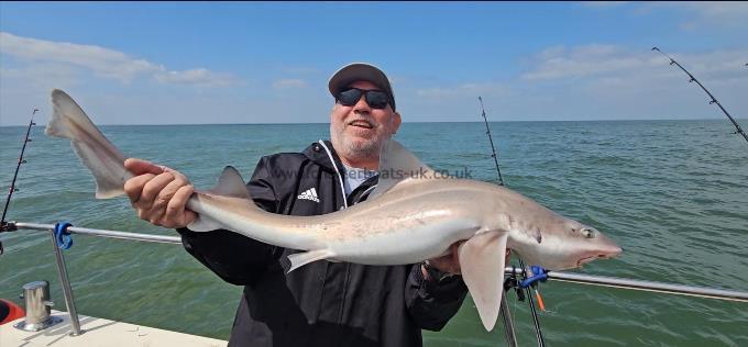 10 lb 4 oz Smooth-hound by Paul