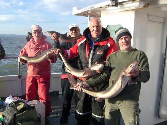 15 lb 4 oz Spurdog by penygraig angling club