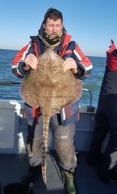 14 lb 8 oz Thornback Ray by Pete