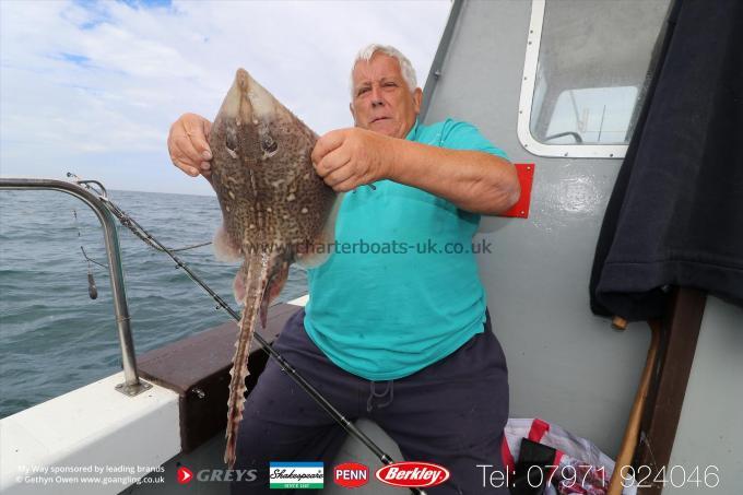 6 lb Thornback Ray by Mr T