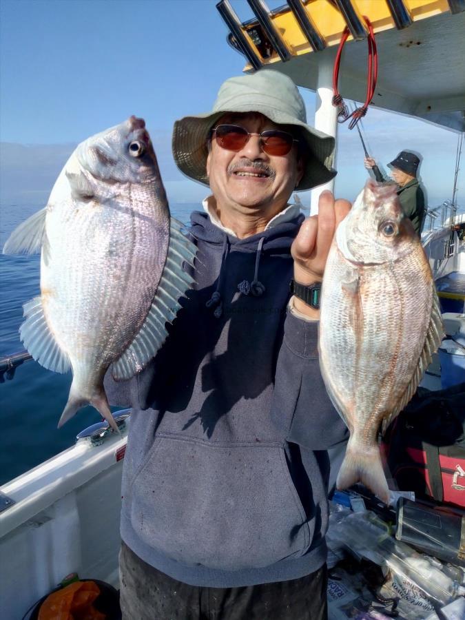 2 lb Black Sea Bream by Ron