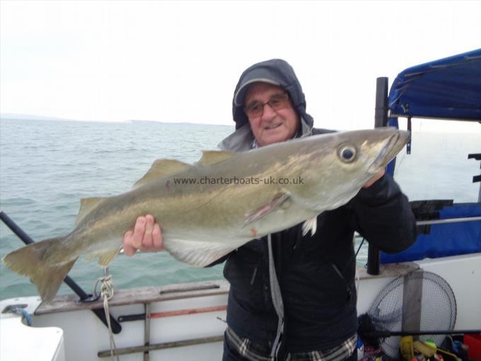 13 lb 4 oz Pollock by roger the pollock