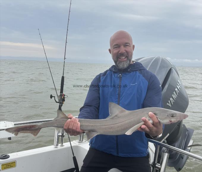 10 lb Starry Smooth-hound by Chris