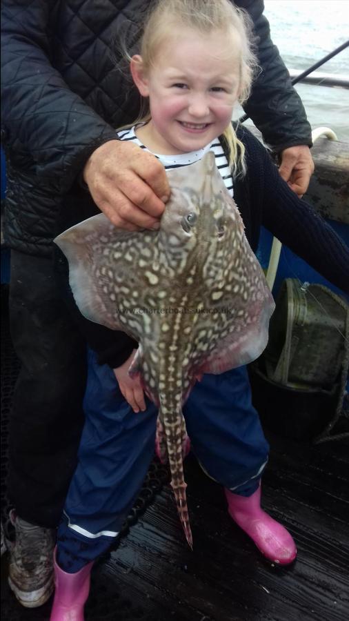 5 lb Thornback Ray by Gracie