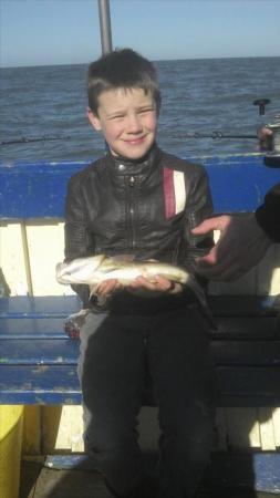 1 lb 4 oz Cod by Unknown