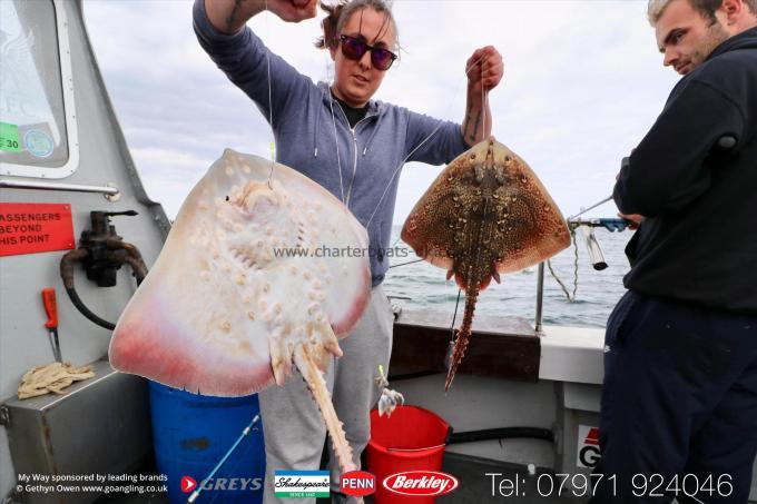 6 lb Thornback Ray by Shelby