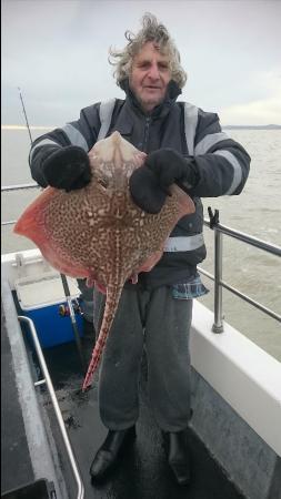 9 lb 8 oz Thornback Ray by Bob Marshall