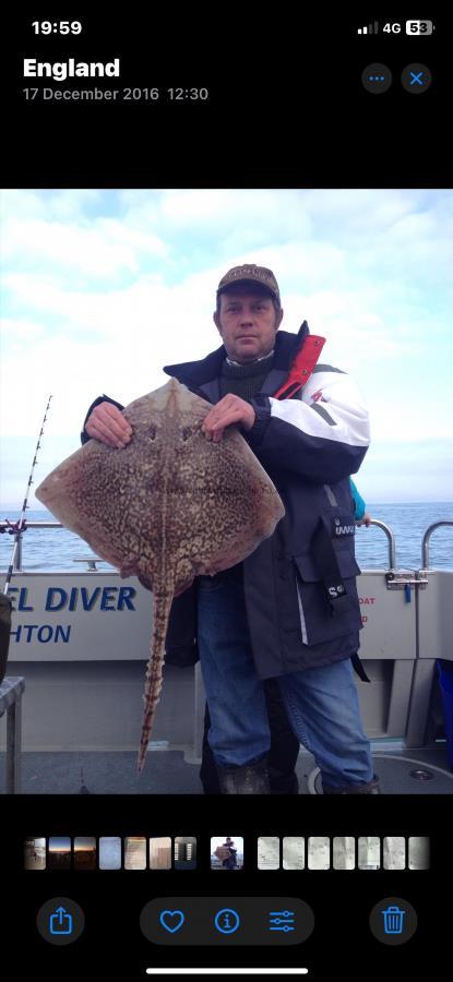 1 lb Undulate Ray by Unknown