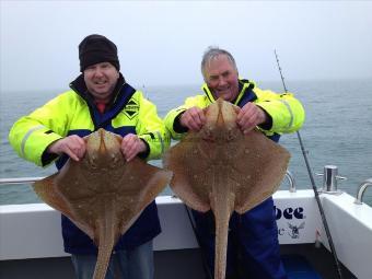 15 lb Blonde Ray by John Andrews