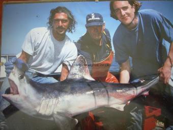 140 lb Porbeagle by Julian Gilby