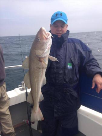 12 lb Cod by Unknown