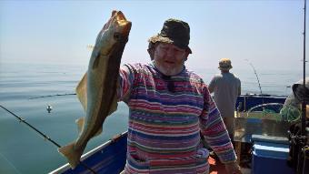 5 lb Pollock by Stephen Wake