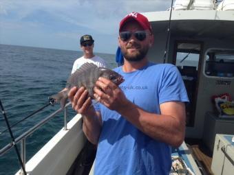 1 lb 14 oz Black Sea Bream by Will