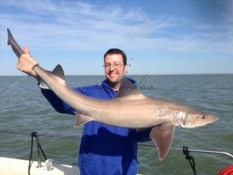 18 lb Starry Smooth-hound by Andy